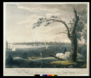 La Città di New York nello stato di New York, 1803